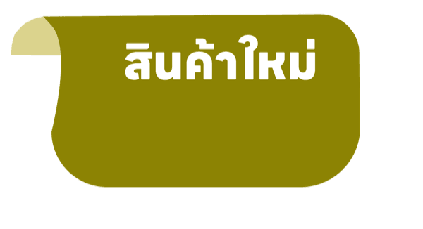 สินค้าใหม่