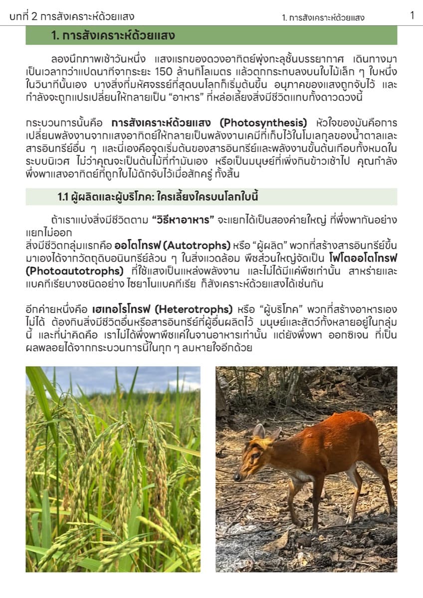 📚 ตำราเรียน การสังเคราะห์แสง ตัวอย่างหน้า 1