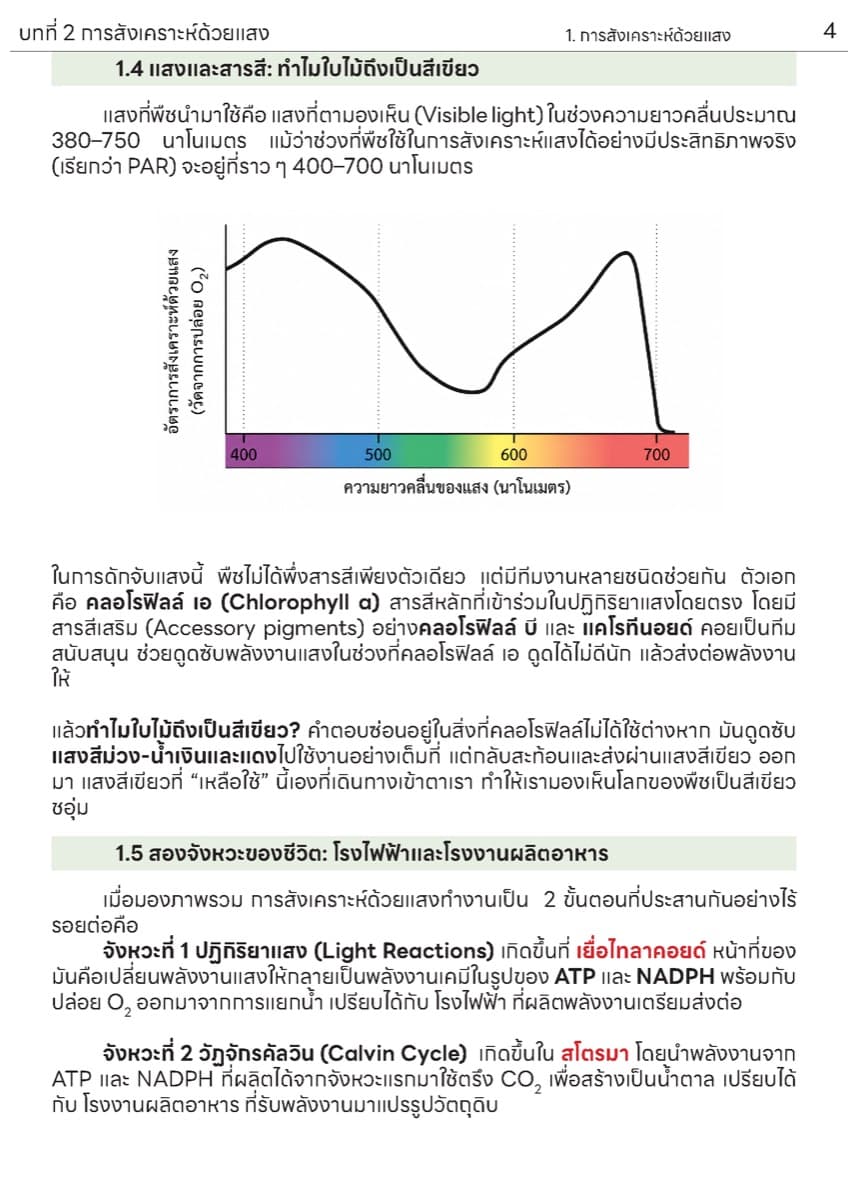 📚 ตำราเรียน การสังเคราะห์แสง ตัวอย่างหน้า 2