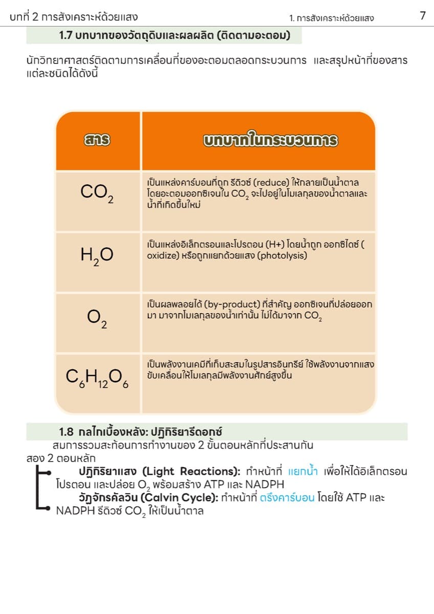 📚 ตำราเรียน การสังเคราะห์แสง ตัวอย่างหน้า 3