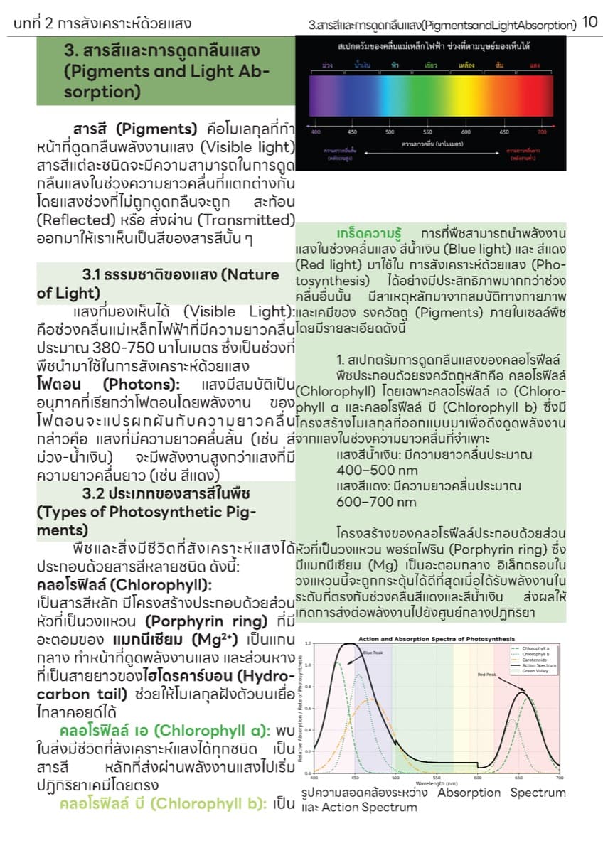 📚 ตำราเรียน การสังเคราะห์แสง ตัวอย่างหน้า 4