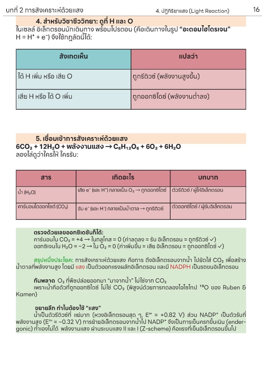 📚 ตำราเรียน การสังเคราะห์แสง ตัวอย่างหน้า 6