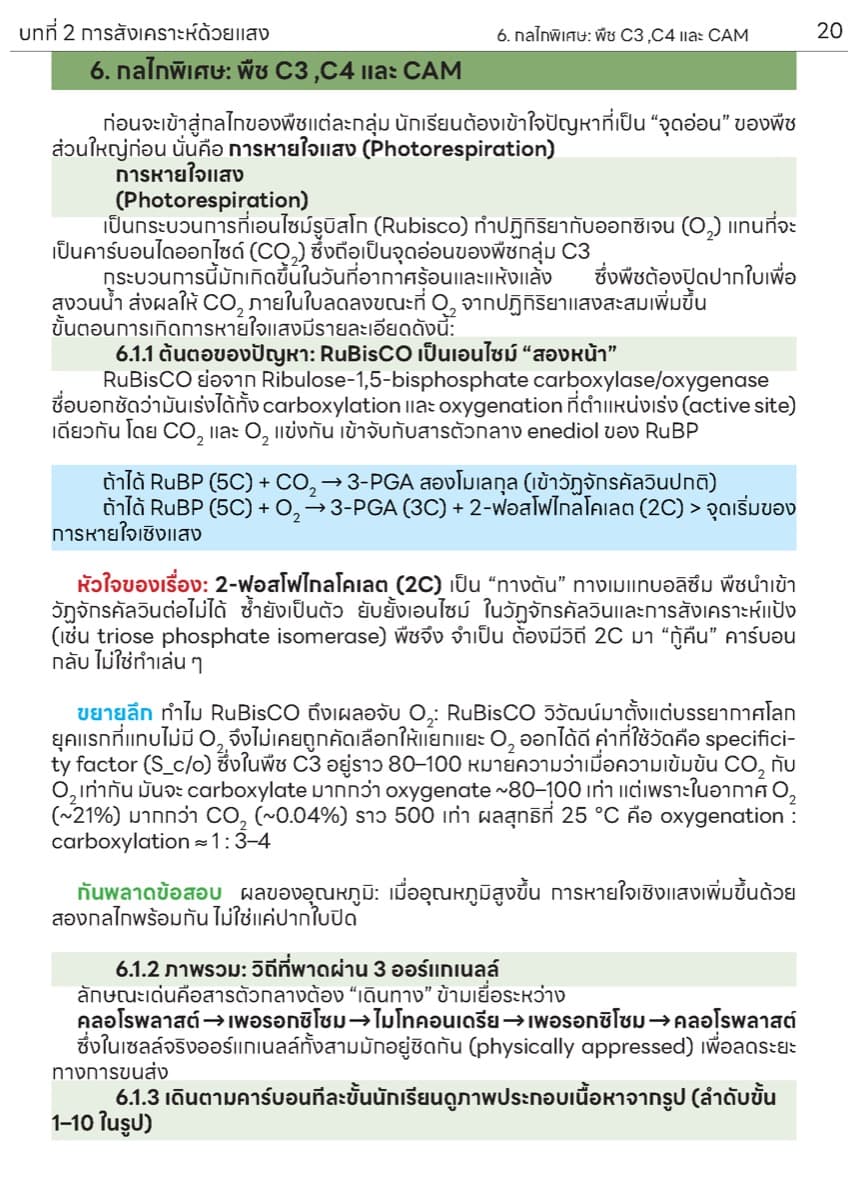 📚 ตำราเรียน การสังเคราะห์แสง ตัวอย่างหน้า 7