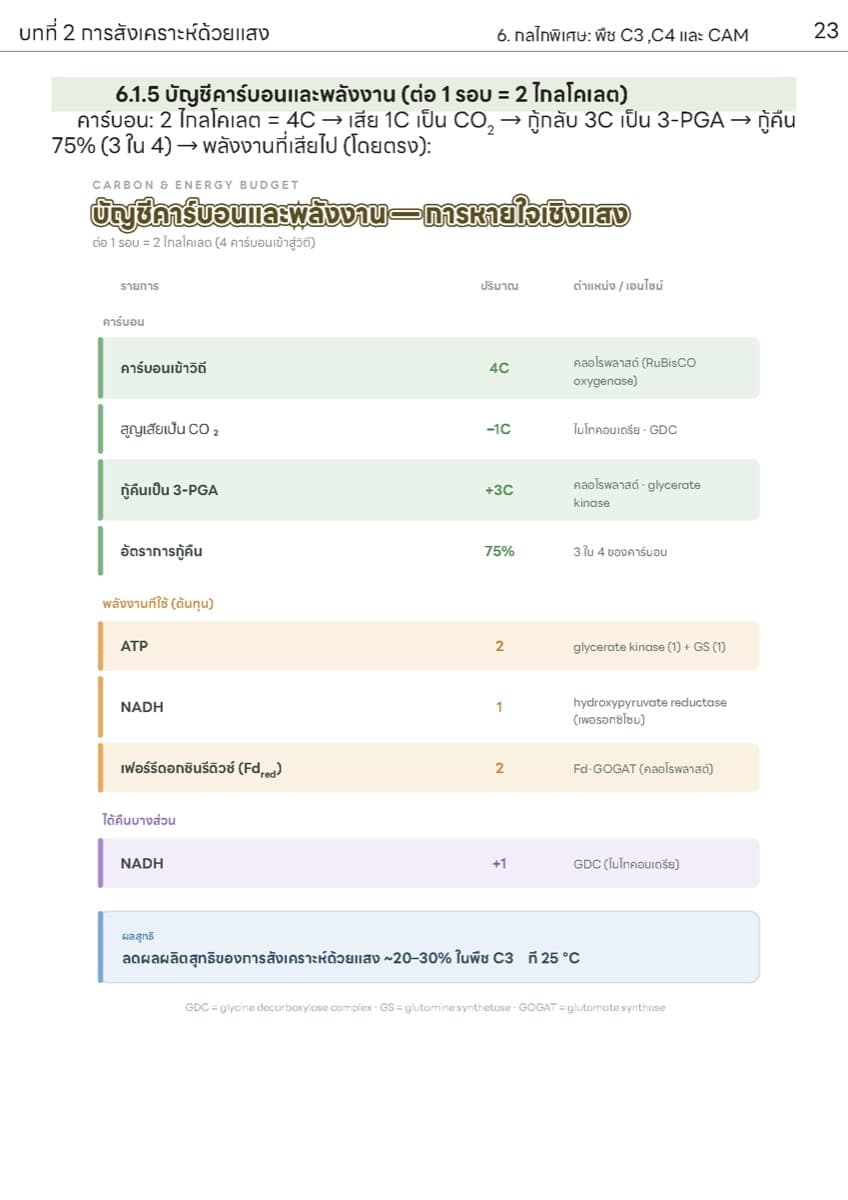 📚 ตำราเรียน การสังเคราะห์แสง ตัวอย่างหน้า 8