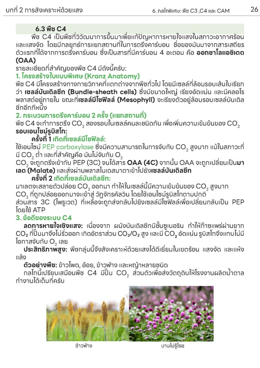 📚 ตำราเรียน การสังเคราะห์แสง ตัวอย่างหน้า 9