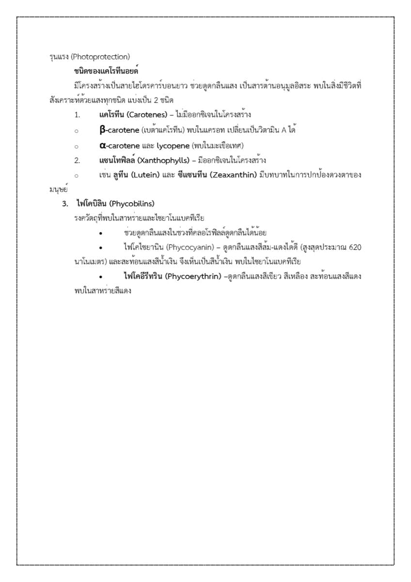 📝 ใบงาน การสังเคราะห์แสง ตัวอย่างหน้า 3