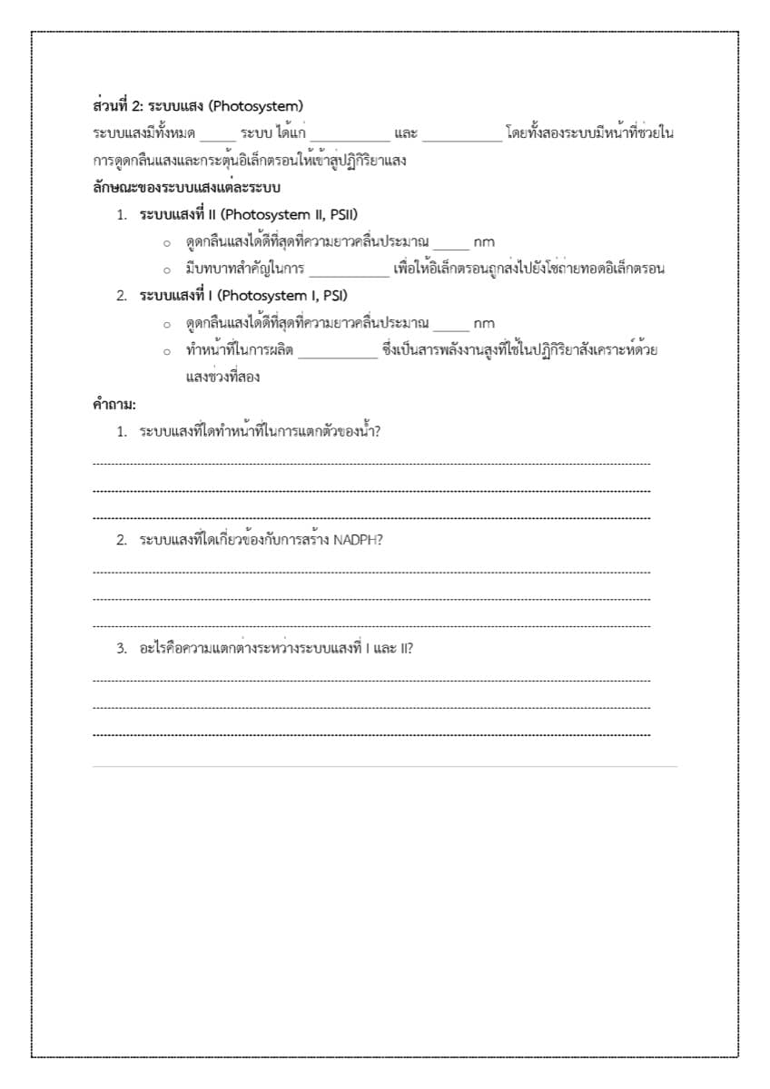 📝 ใบงาน การสังเคราะห์แสง ตัวอย่างหน้า 4