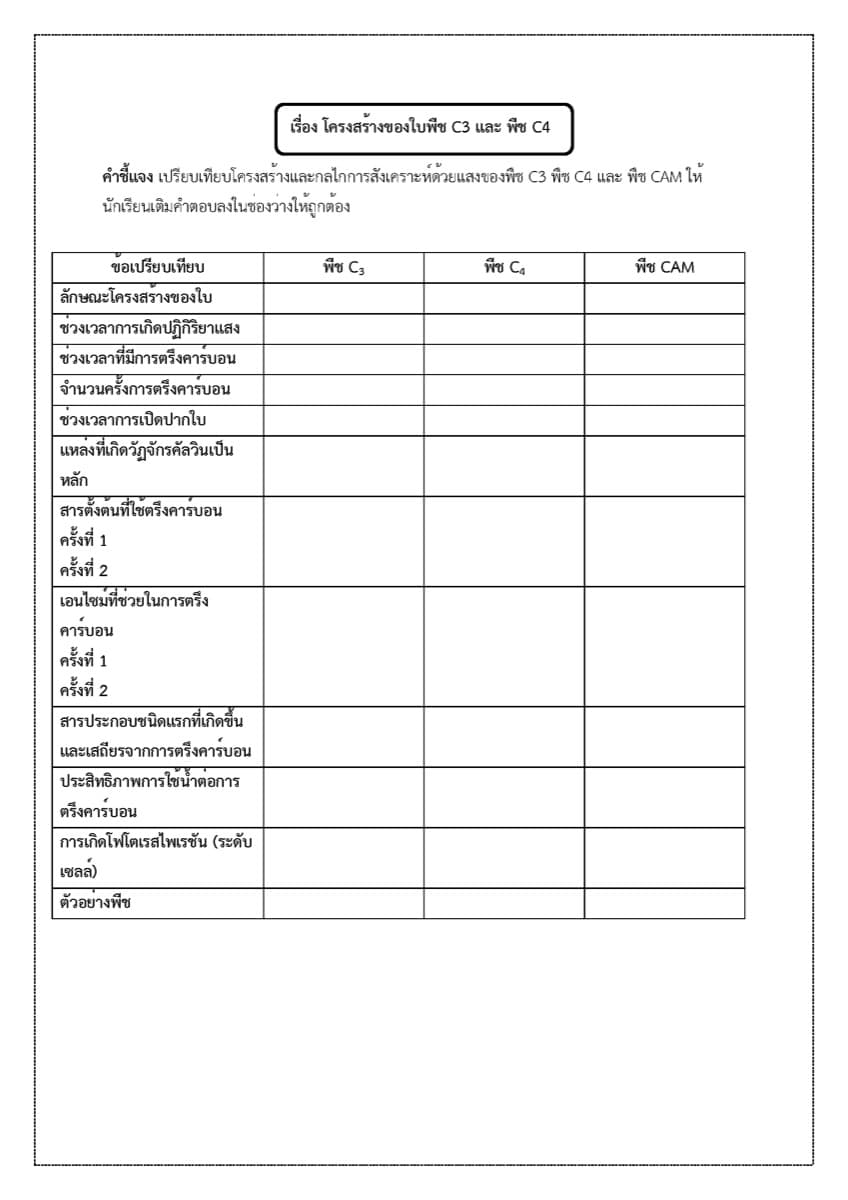 📝 ใบงาน การสังเคราะห์แสง ตัวอย่างหน้า 8