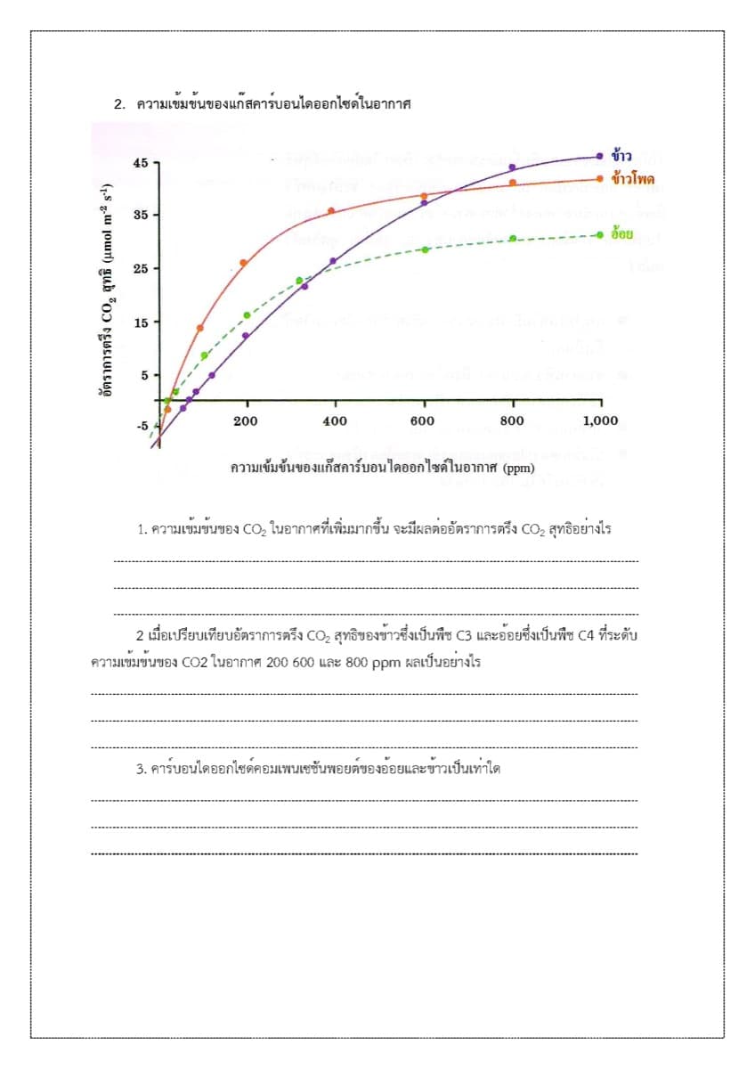 📝 ใบงาน การสังเคราะห์แสง ตัวอย่างหน้า 9