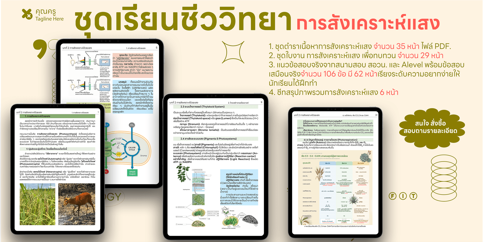 ชุดเรียน ชีววิทยา การสังเคราะห์แสง (ตำรา + ใบงาน + ข้อสอบ + ชีทสรุป)