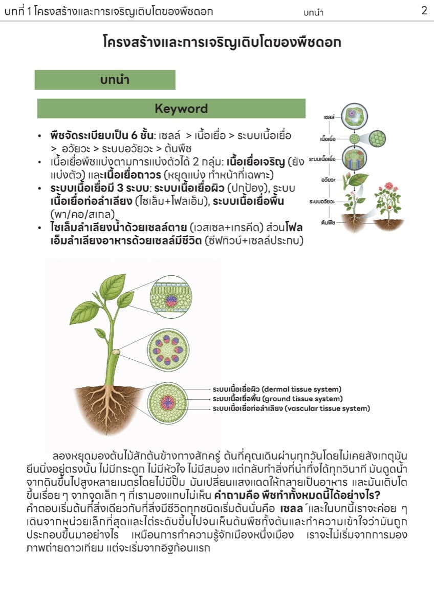 📚 ตำราเรียน เนื้อเยื่อพืช ตัวอย่างหน้า 1