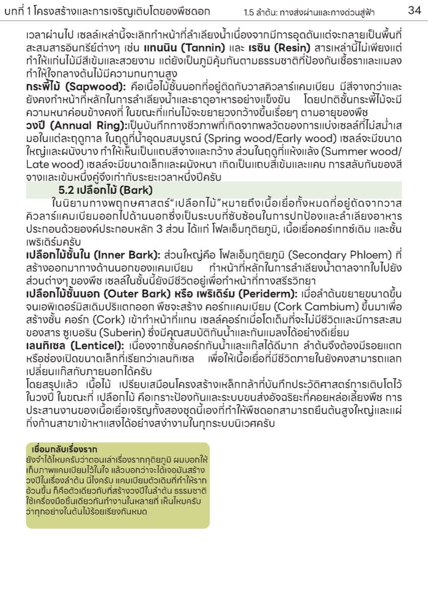 📚 ตำราเรียน เนื้อเยื่อพืช ตัวอย่างหน้า 14