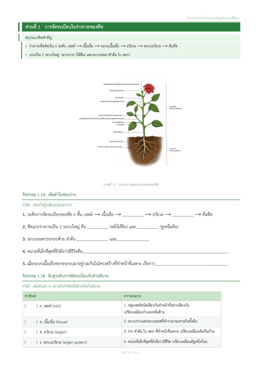 📝 ใบงานทบทวน ตัวอย่างหน้า 1