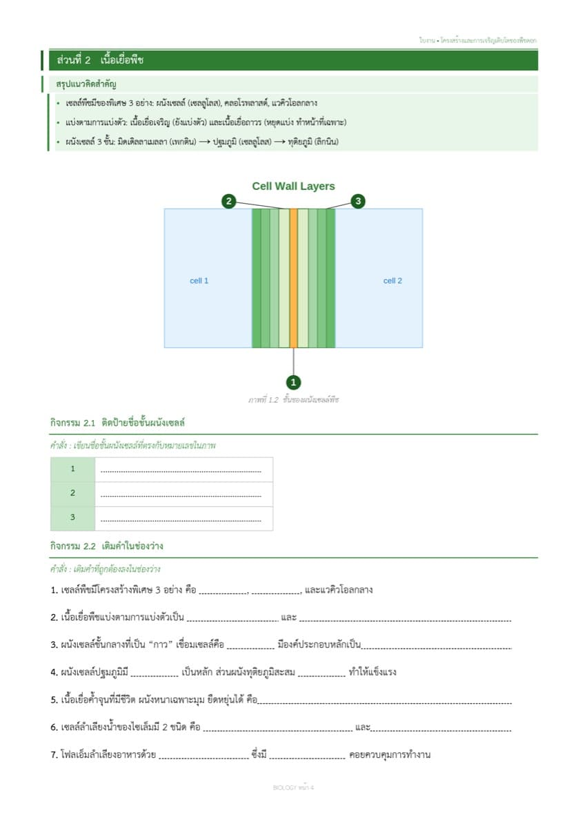 📝 ใบงานทบทวน ตัวอย่างหน้า 2