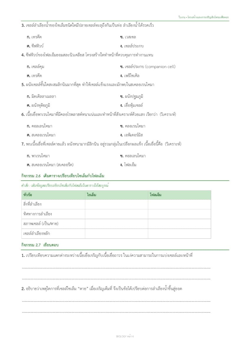 📝 ใบงานทบทวน ตัวอย่างหน้า 3