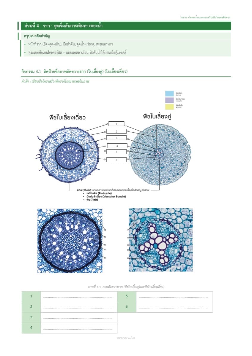 📝 ใบงานทบทวน ตัวอย่างหน้า 4
