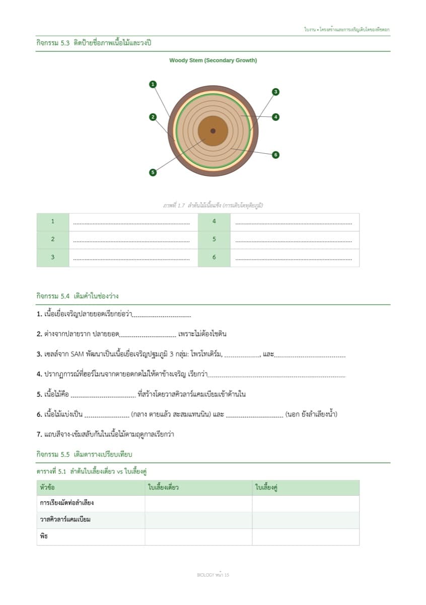 📝 ใบงานทบทวน ตัวอย่างหน้า 9
