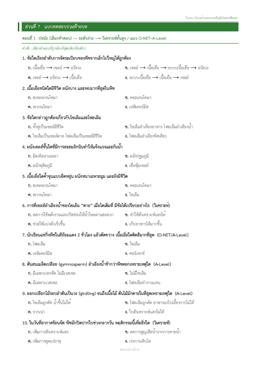 📝 ใบงานทบทวน ตัวอย่างหน้า 13