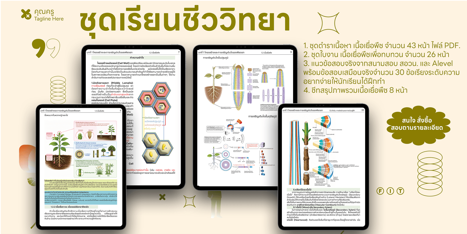 ชุดเรียน ชีววิทยา ระบบเนื้อเยื่อพืช (ตำรา + ใบงาน + แนวข้อสอบ + ชีทสรุป)