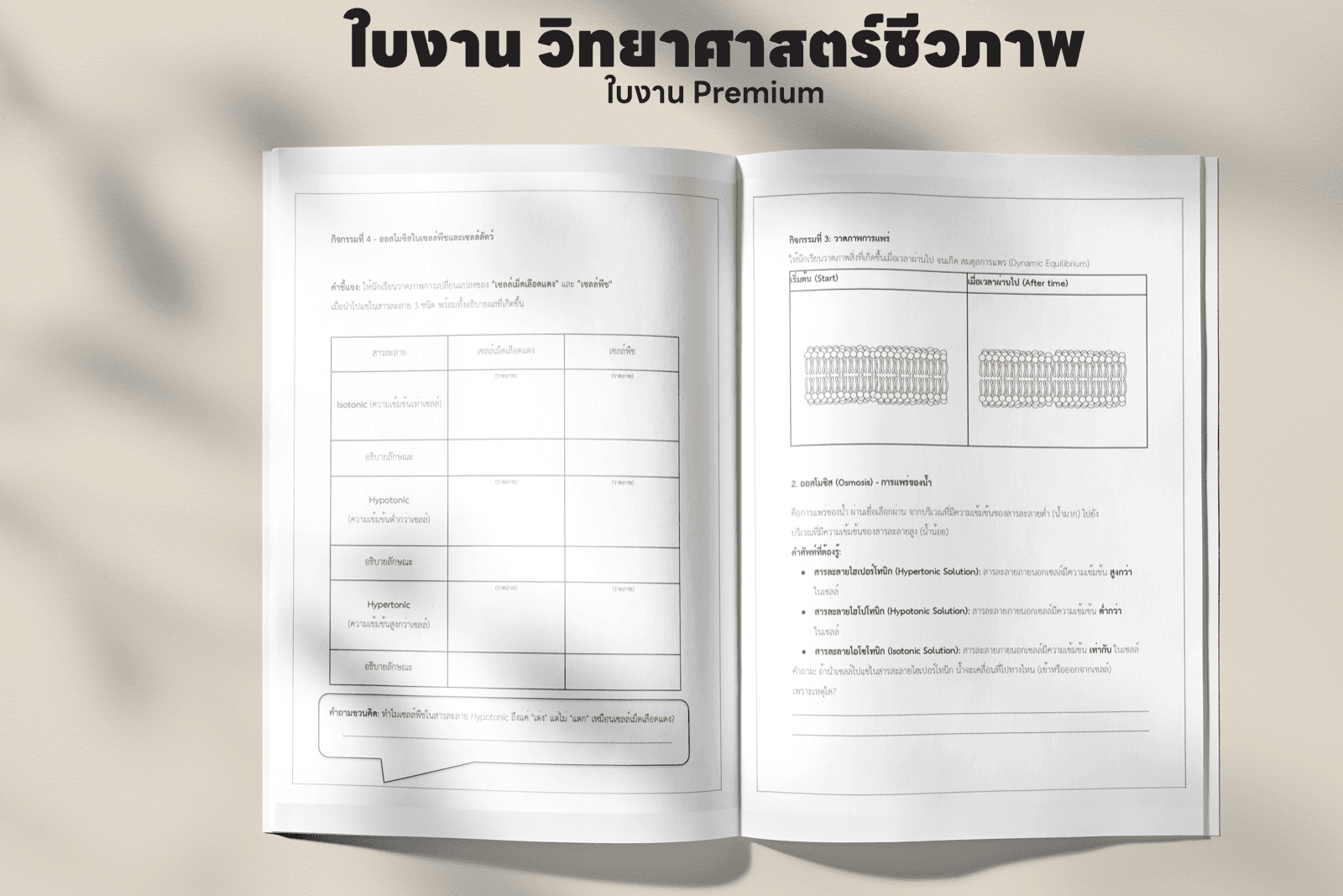 ตัวอย่างหน้าใบงาน บทที่ 1 — การลำเลียงสารเข้าออกจากเซลล์